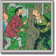 Cuadro de Tintin 29x29 cm