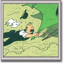 Cuadro de Tintin 29x29 cm