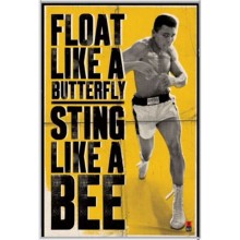 Muhammad Ali Boxeo