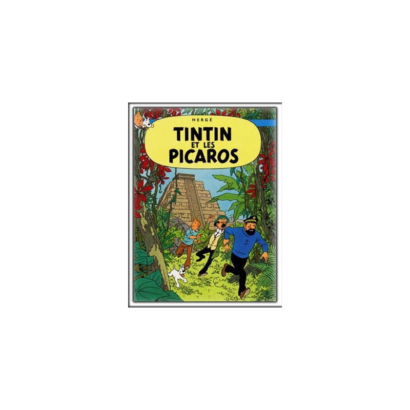 Tintin en los picaros