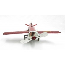 Avion de payá