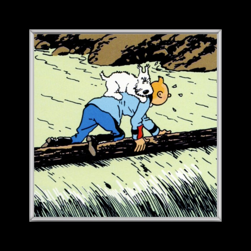 Cuadro de Tintin