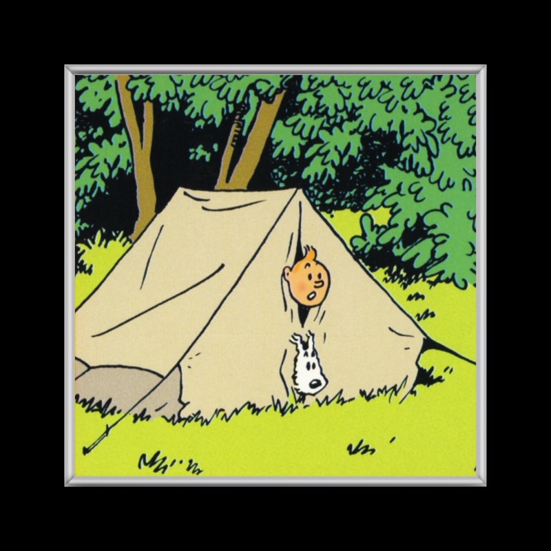 Cuadro de Tintin