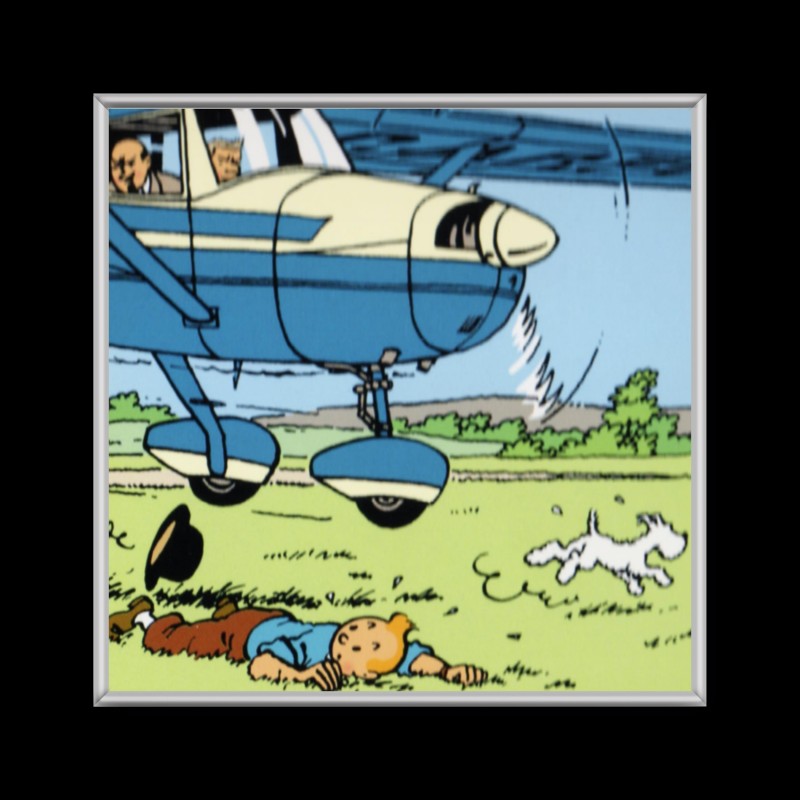 Cuadro de Tintin en avion