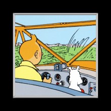 Cuadro de Tintin en avion
