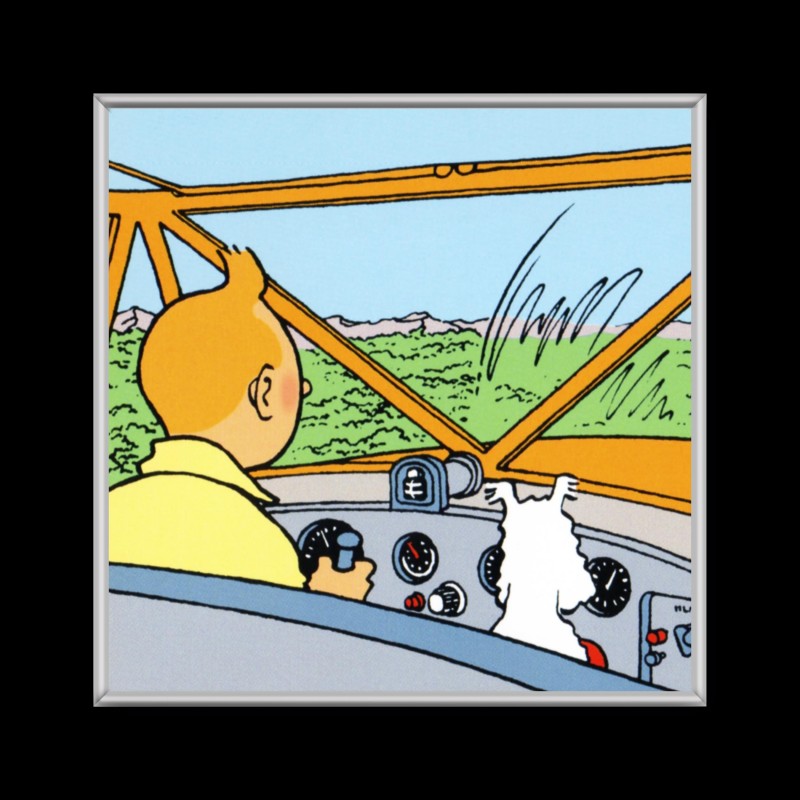 Cuadro de Tintin en avion
