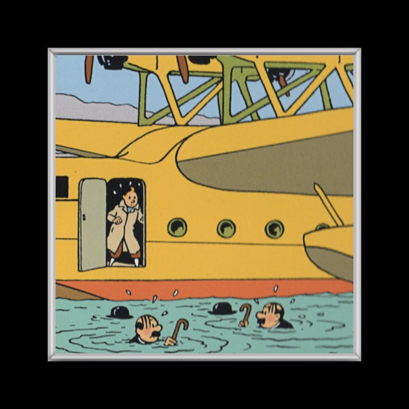 Cuadro de Tintin en avion