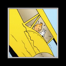 Cuadro de Tintin en avion
