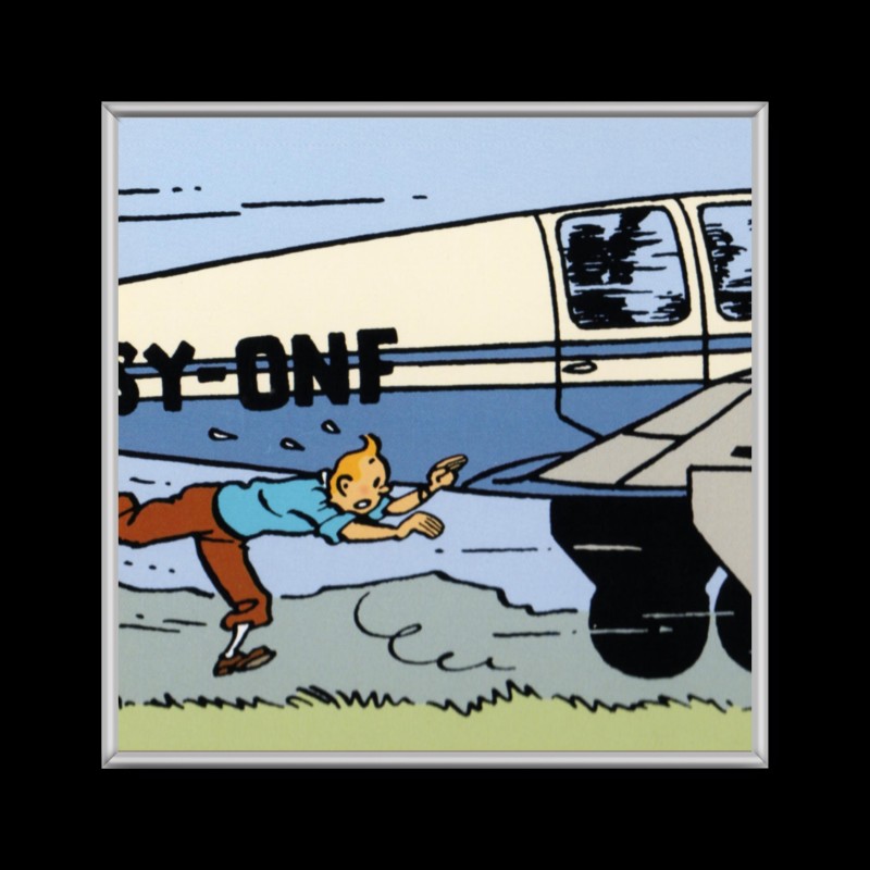 Cuadro de Tintin en avion