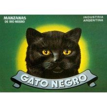 Postal Metalica Gato Negro