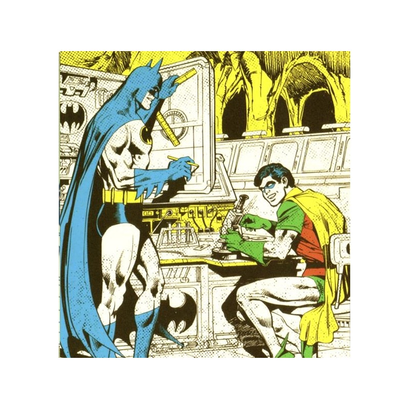 Batman y robin 
