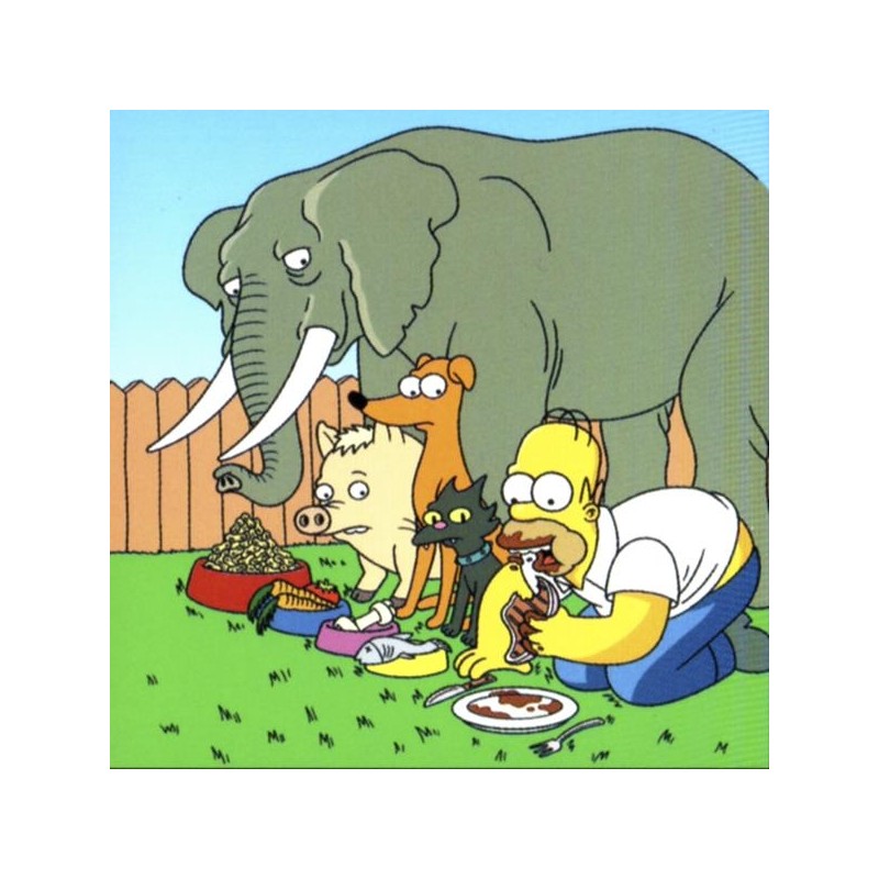 Homer Simpson