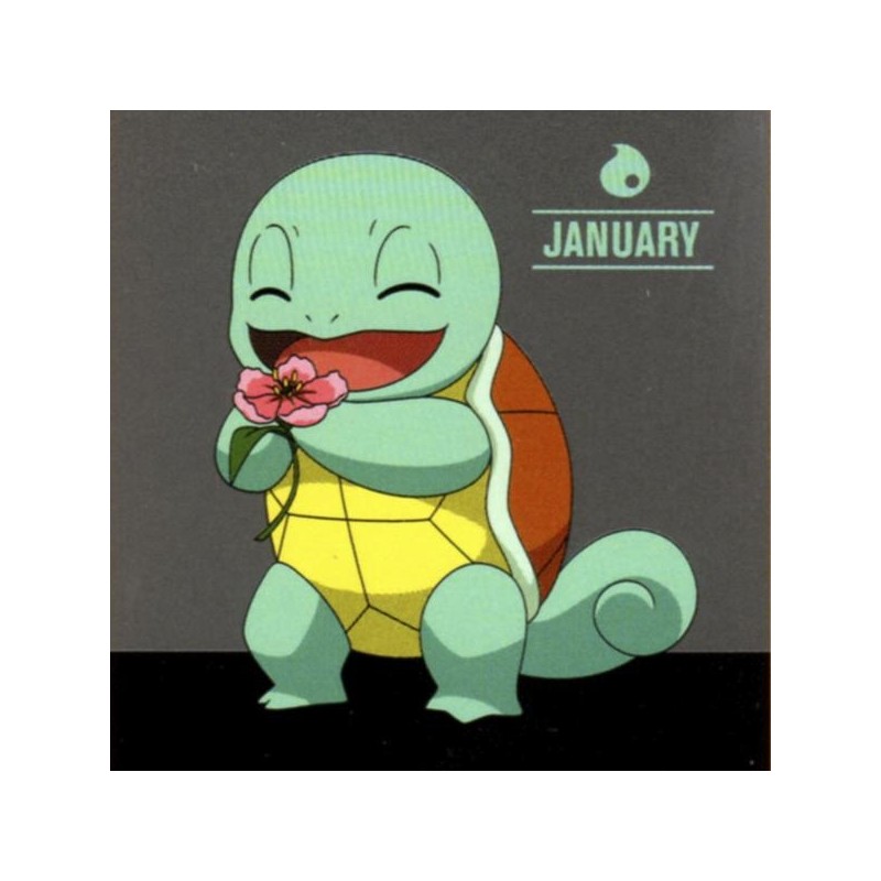 Pokemon