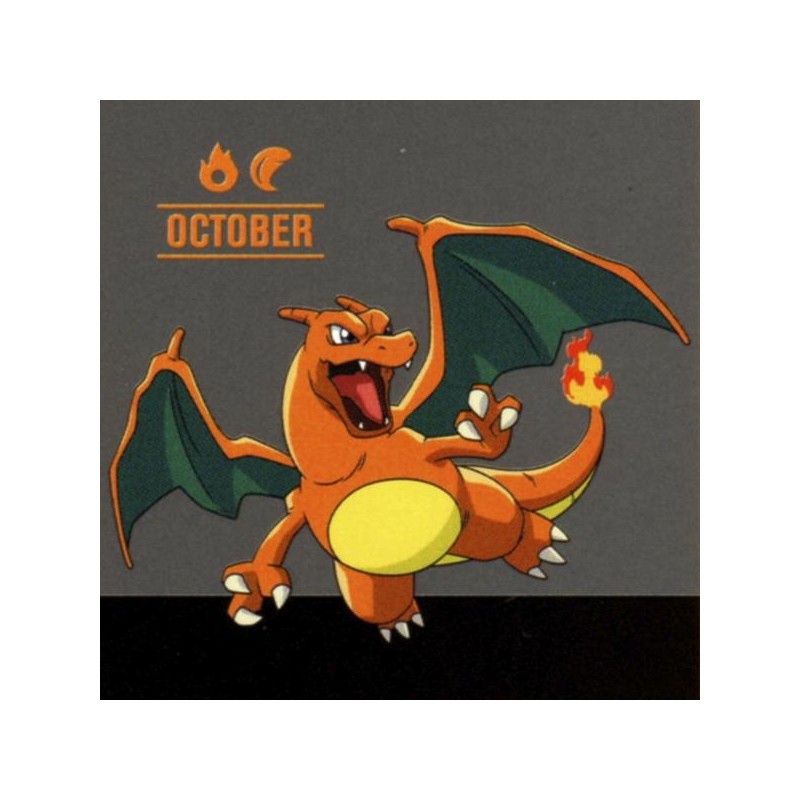 Pokemon Charizard