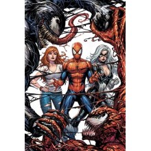 Spiderman vs Venom