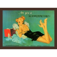 Postal Metalica Schweppes