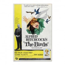 Los pajaros