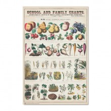 Frutas y verduras