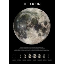 Fases de la Luna