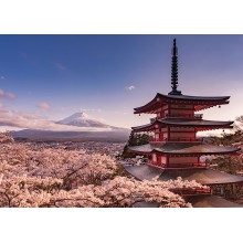 Paisaje pagoda Japon