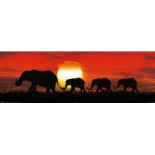 Elefantes en Africa