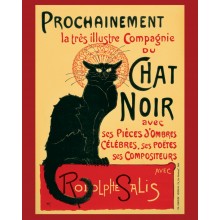 Chat noir Gato negro