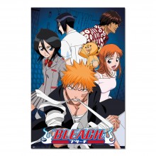 Cuadro Bleach