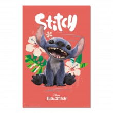 Cuadro Stitch película de imagen real