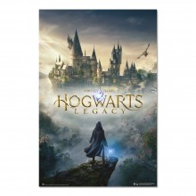 Cuadro Hogwarts Legacy
