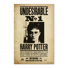 Cuadro Harry Potter Undesirable No 1
