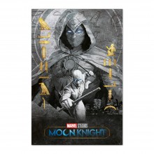 Cuadro Moon Knight