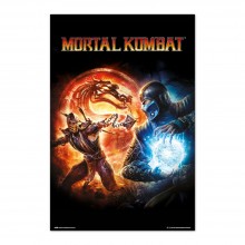 Cuadro Mortal Kombat 9