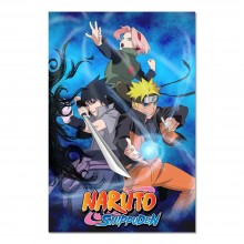 Cuadro Naruto Shippuden