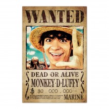 Cuadro One Piece se busca a Monkey D. Luffy