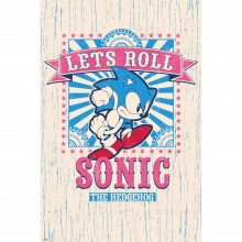 Cuadro Sonic Let's Roll