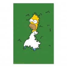 Cuadro Los Simpson Homer en el arbusto