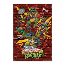Cuadro Las Tortugas Ninja