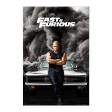 Cuadro Fast & Furious