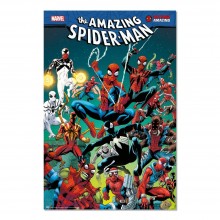 Cuadro Spider-Man telaraña