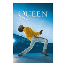 Cuadro Queen Freddie Mercury en concierto