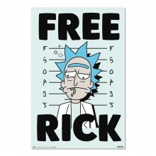Cuadro Rick y Morty Free Rick