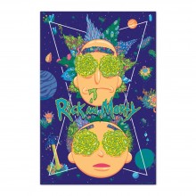 Cuadro Rick y Morty High in the Sky