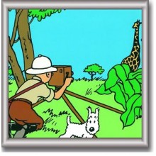 Cuadro de Tintin 29x29 cm