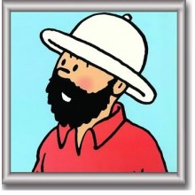 Cuadro de Tintin 29x29 cm