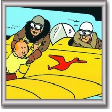 Cuadro de Tintin 29x29 cm